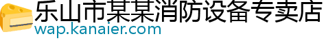 乐山市某某消防设备专卖店