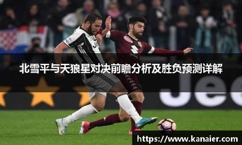 yy体育